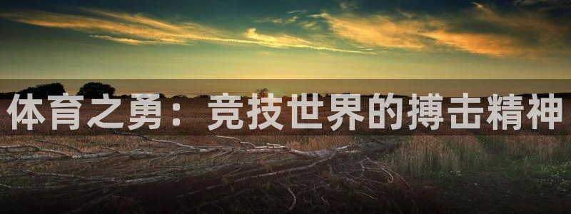 杏宇集团股票：体育之勇：竞技世界的搏击精神