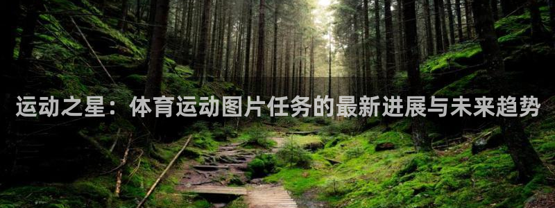 意昂招商：运动之星：体育运动图片任务的最新进展与未来趋势