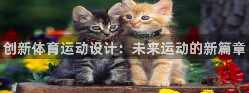 杏宇体育平台注册：创新体育运动设计：未来运动的新篇章