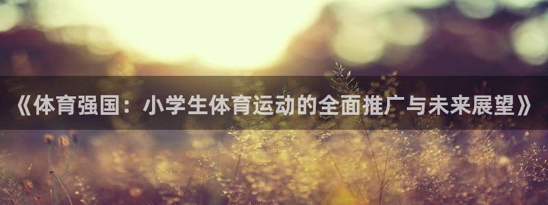 杏宇平台注册：《体育强国：小学生体育运动的全面推广与未来展望》