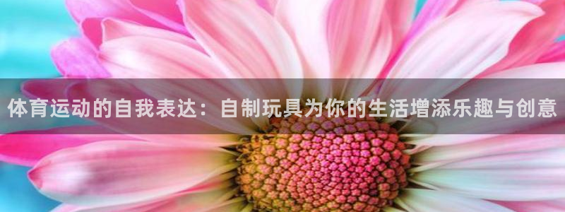 杏宇股份：体育运动的自我表达：自制玩具为你的生活增添乐趣与创意
