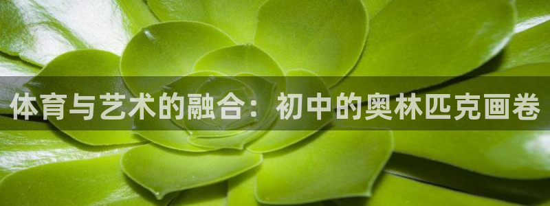 杏宇体育2官网入口：体育与艺术的融合：初中的奥林匹克画卷
