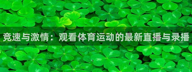 杏宇2平台：竞速与激情：观看体育运动的最新直播与录播