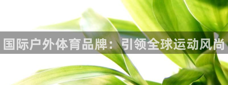 意昂体育注册：国际户外体育品牌：引领全球运动风尚