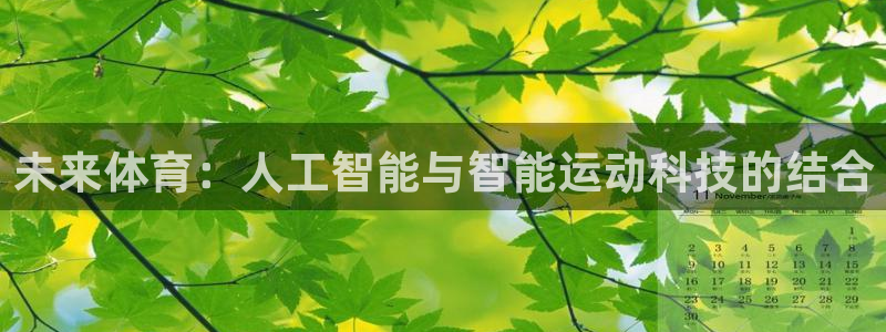 杏宇体育2官网入口：未来体育：人工智能与智能运动科技的结合