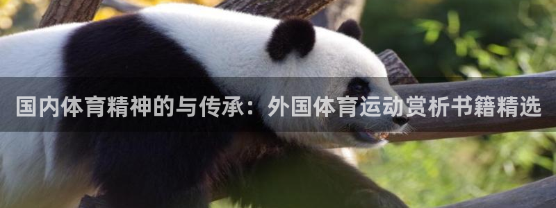 杏宇体育代理：国内体育精神的与传承：外国体育运动赏析书籍精选