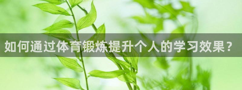 杏宇3代理：如何通过体育锻炼提升个人的学习效果？